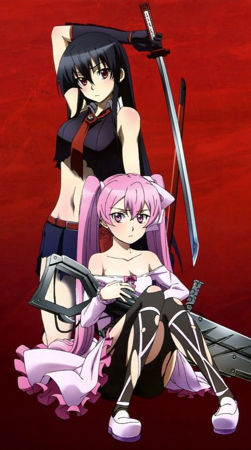 800x1435 Akame ga kill, anime, HD phone