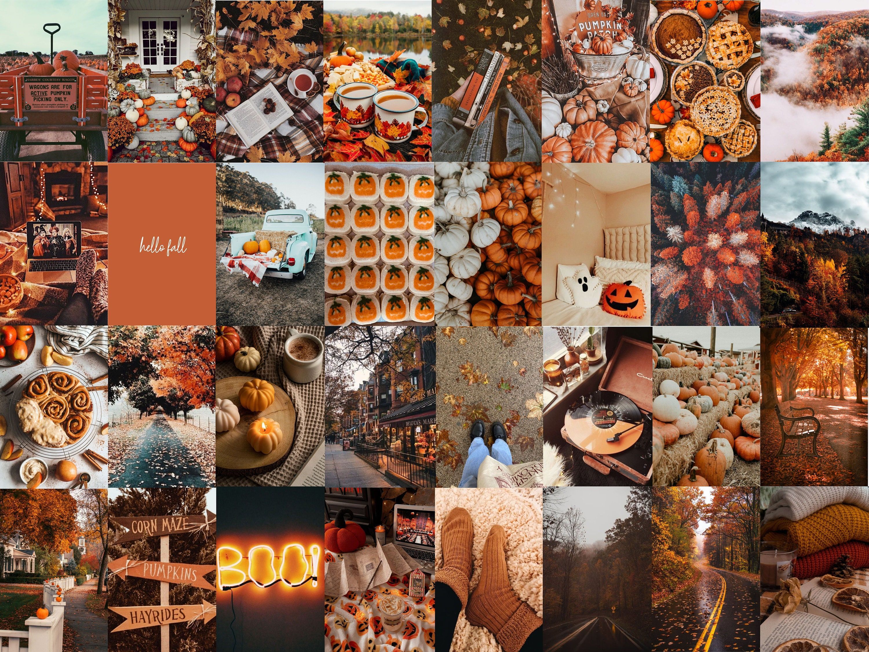 Aesthetic Fall Collage Wallpapers Top Free Aesthetic Fall Collage 