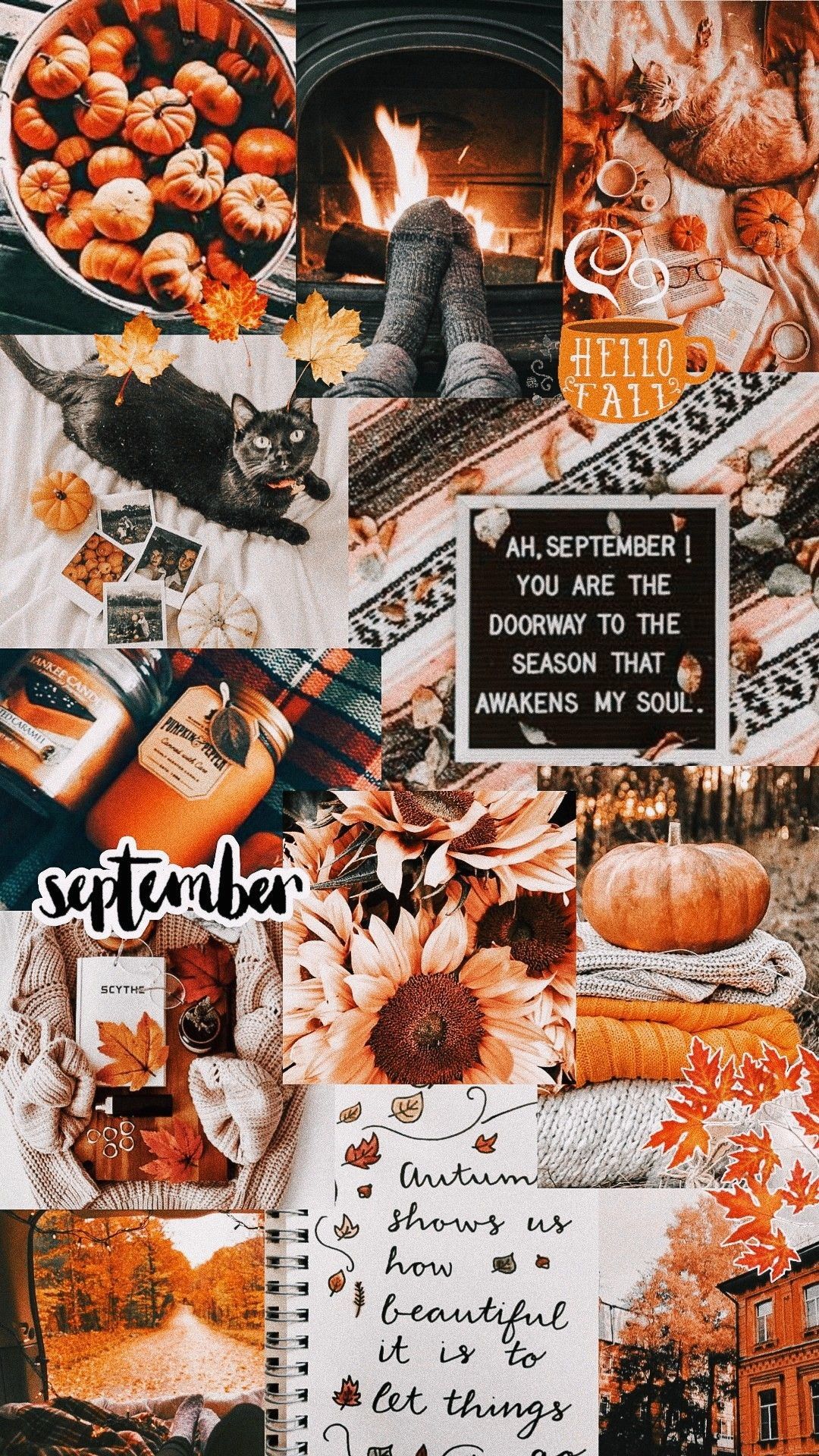 1080x1920 Aesthetic Autumn Collage Wallpaper