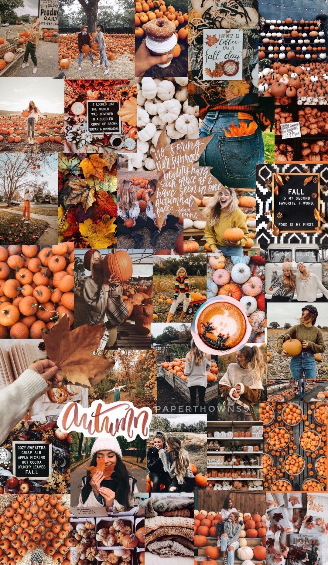 1080x1862 Aesthetic Autumn Collage Wallpaper