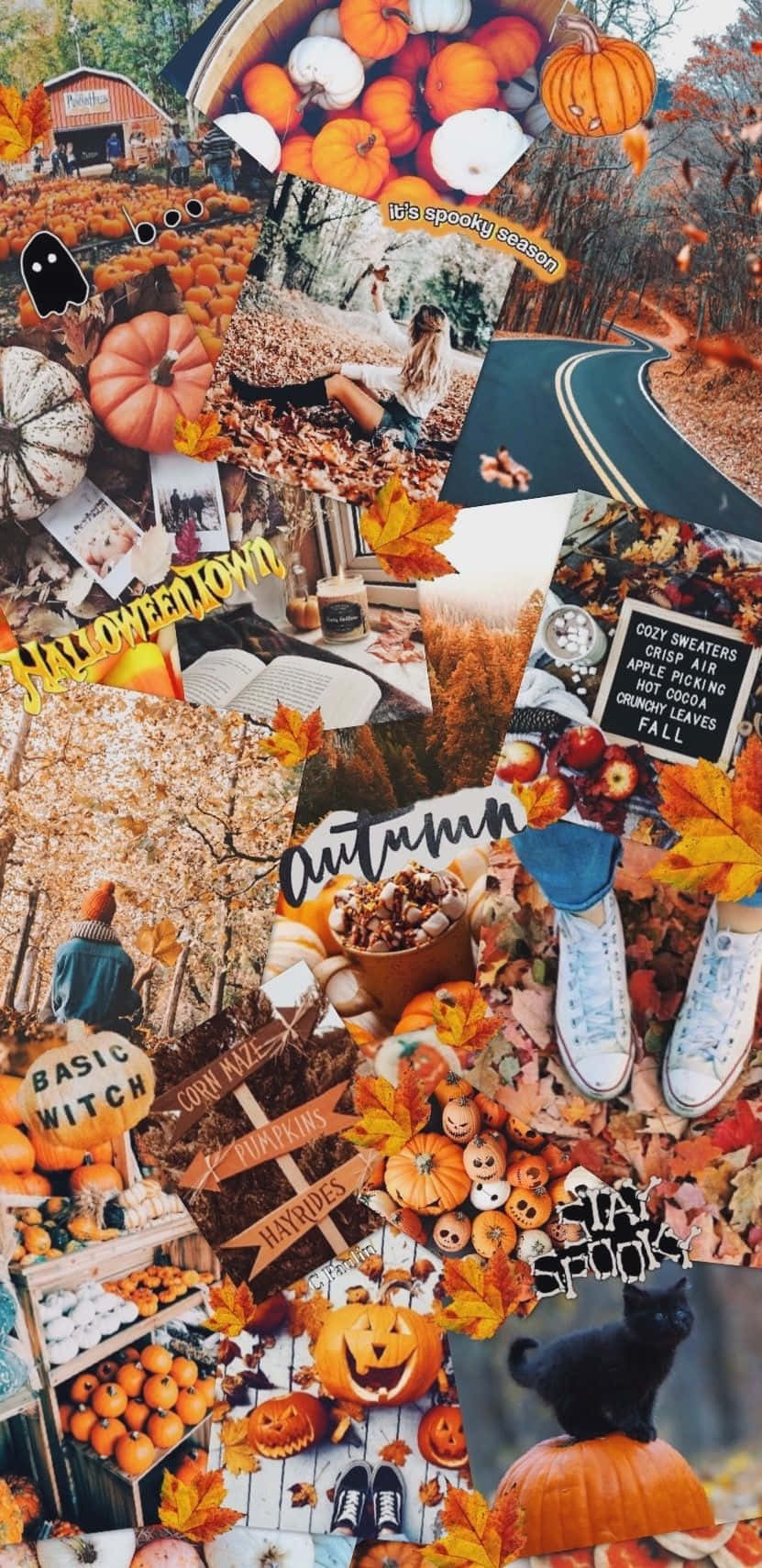 831x1710 beautiful autumn collage Wallpaper