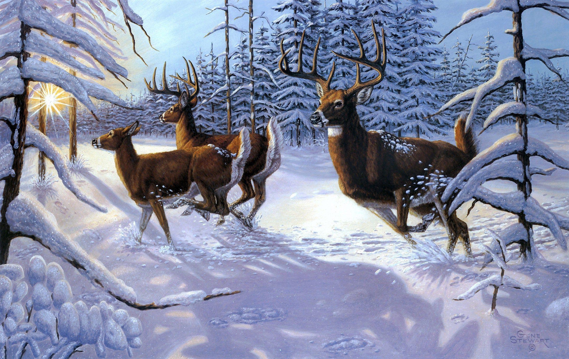 Christmas Deer Wallpapers - Top Free Christmas Deer Backgrounds ...