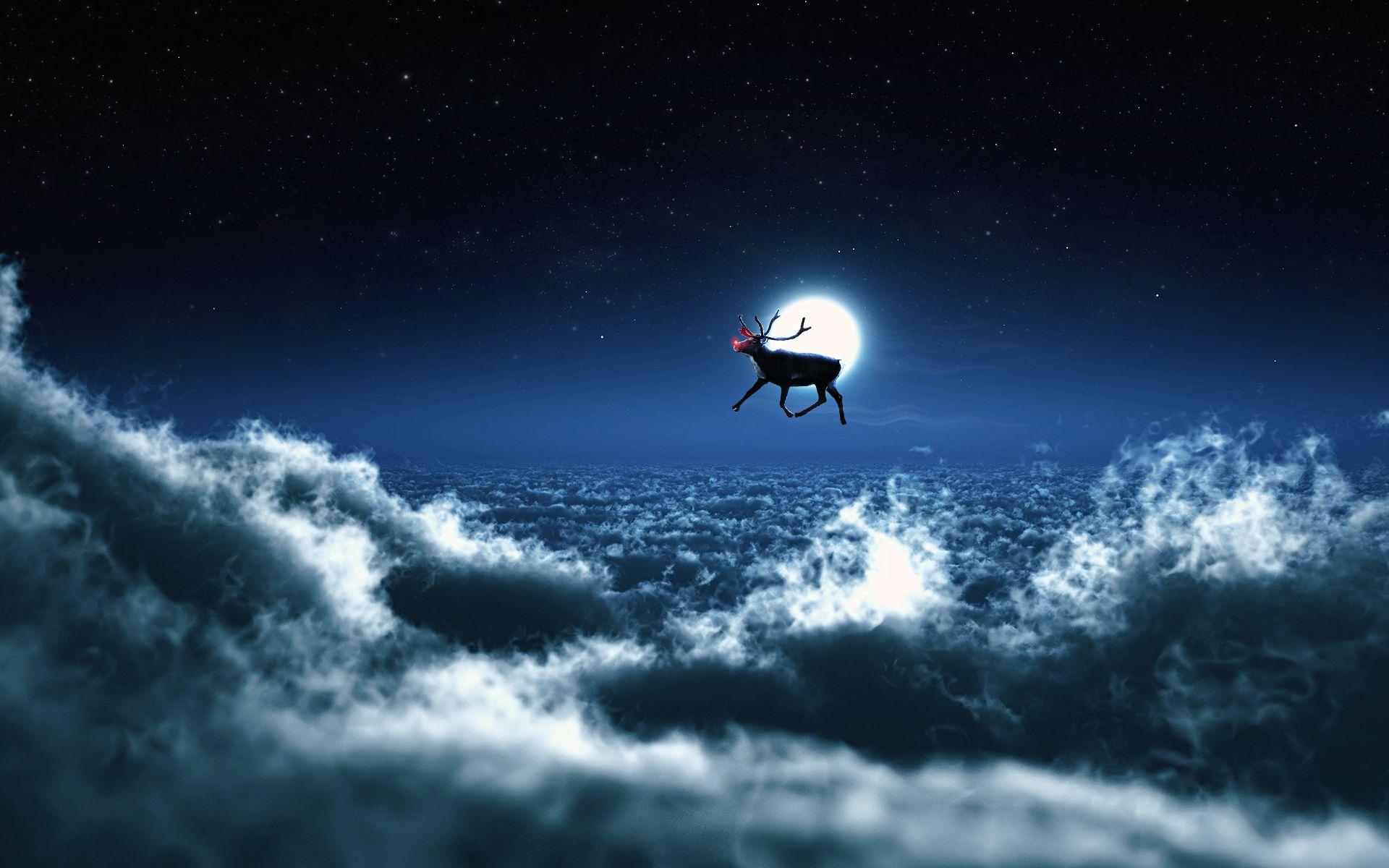 1920x1200 Reindeer Wallpaper