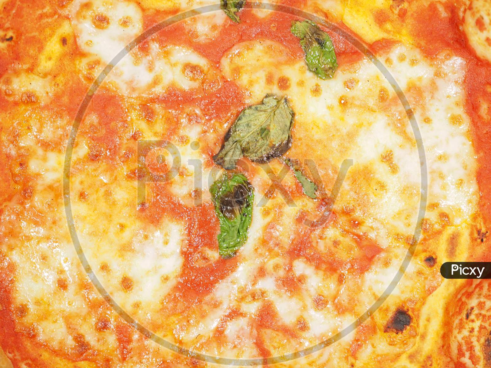 1600x1200 Margherita Pizza Background YO435713 Picxy