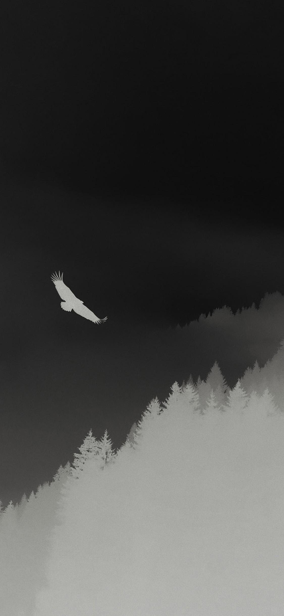 1125x2437 Dark Eagle Flying iPhone X2 Wallpaper Download