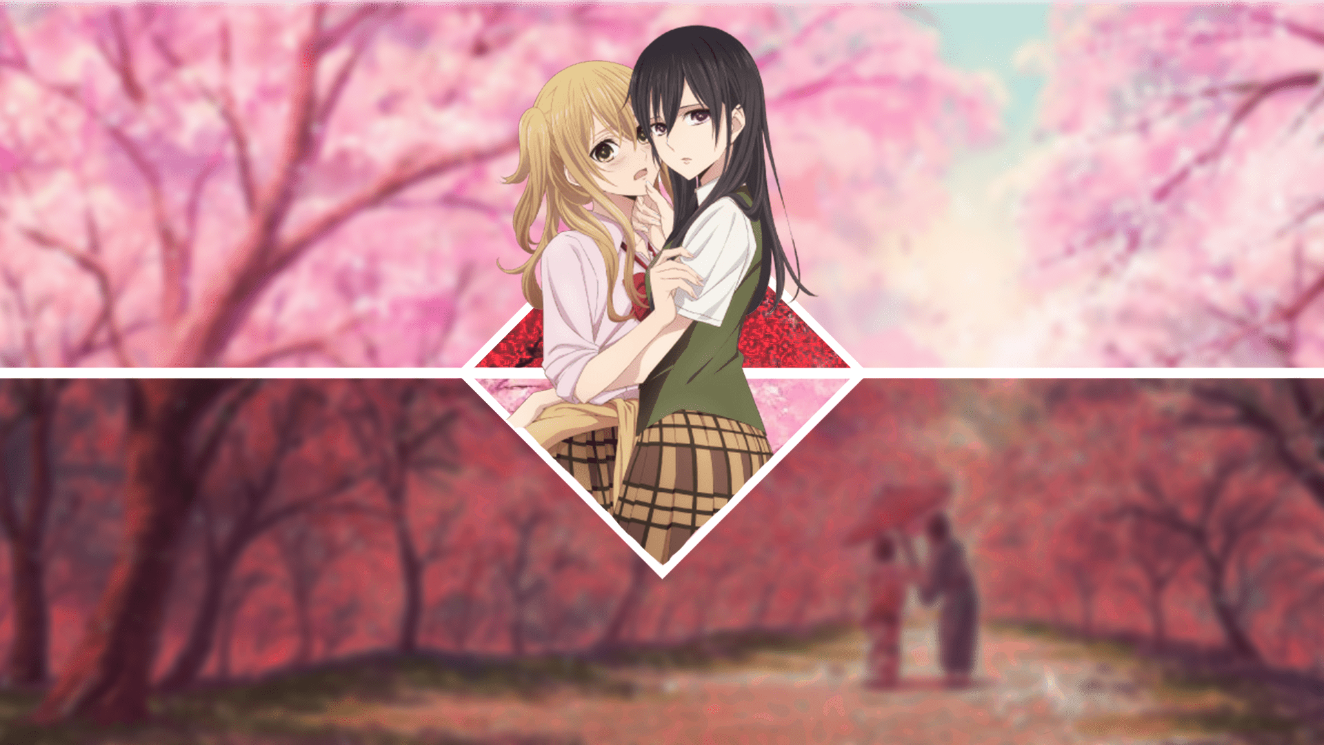 Citrus Anime Wallpapers Top Free Citrus Anime Backgrounds