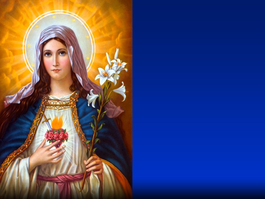 1024x768 Holy Mass image.: IMMACULATE HEART