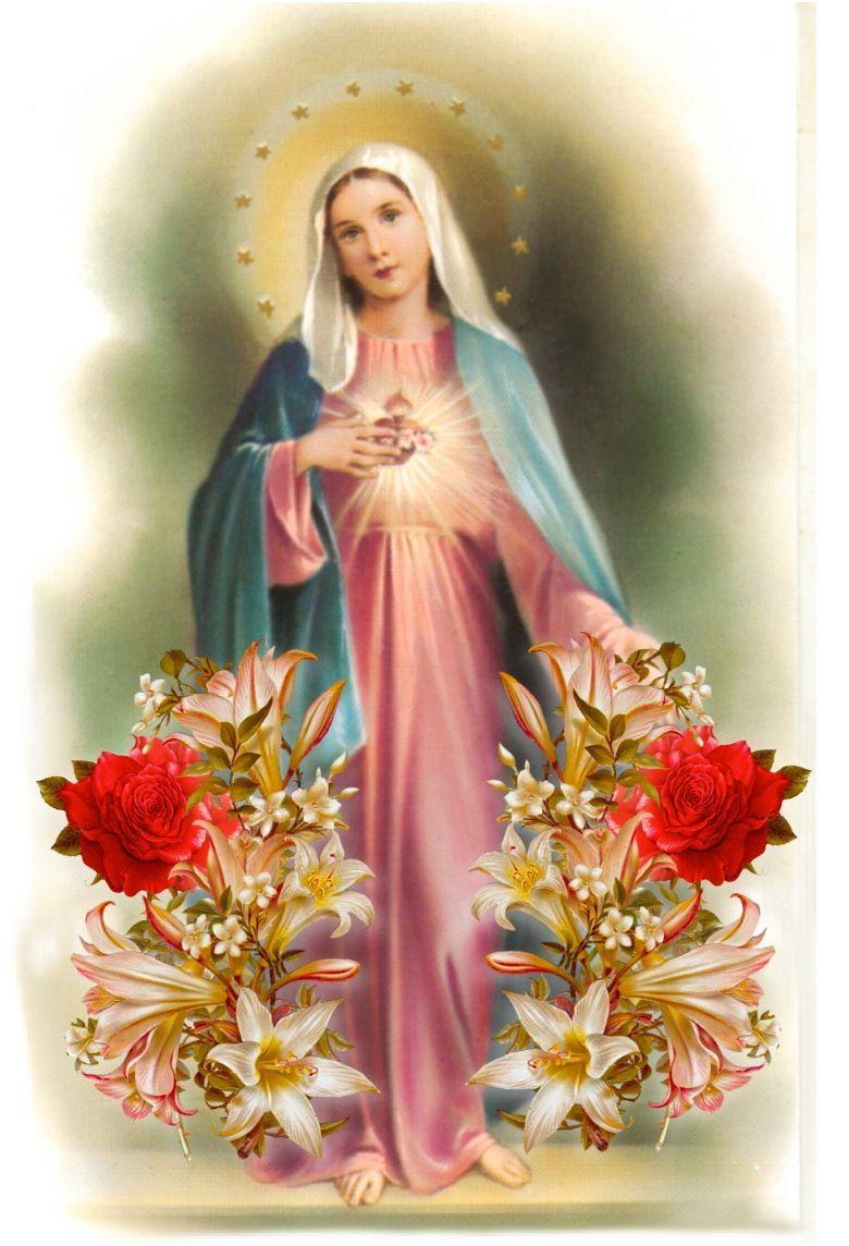 780x1144 Immaculate Heart Of Mary Wallpaper