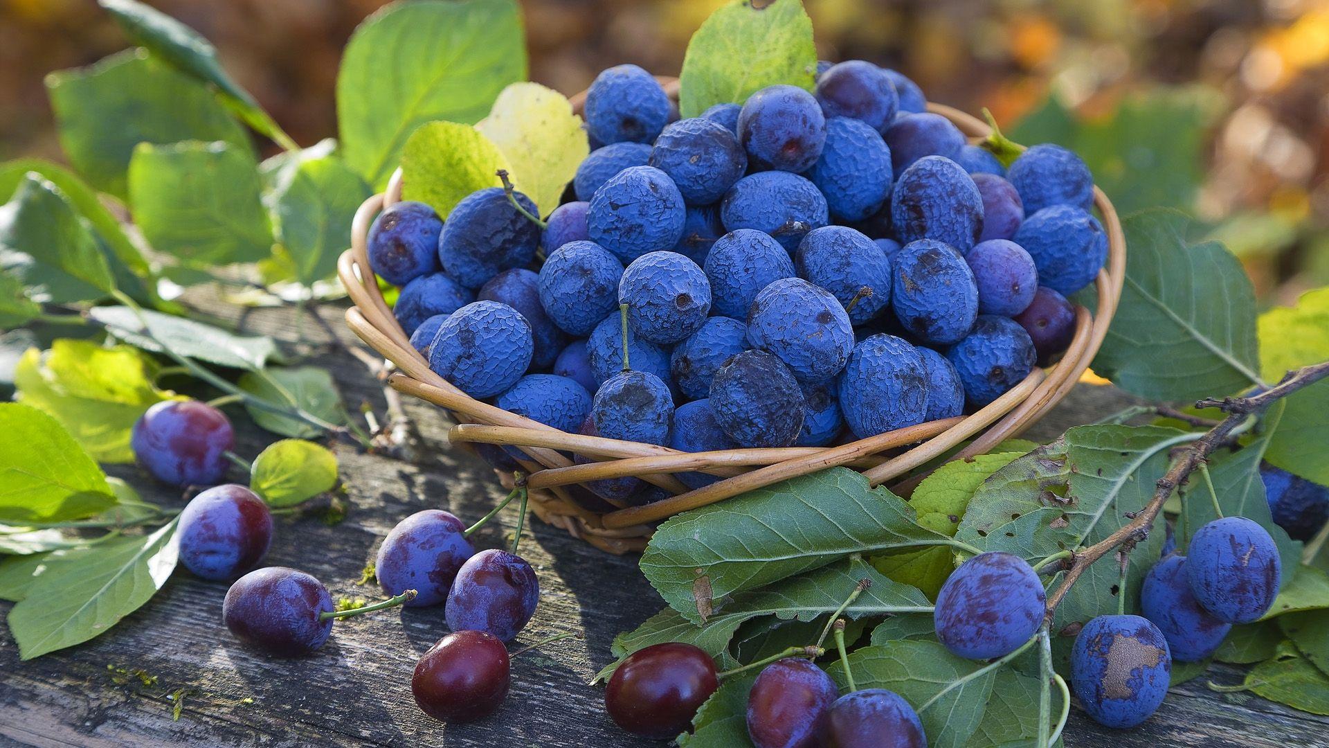 1920x1080 Blueberry Picture