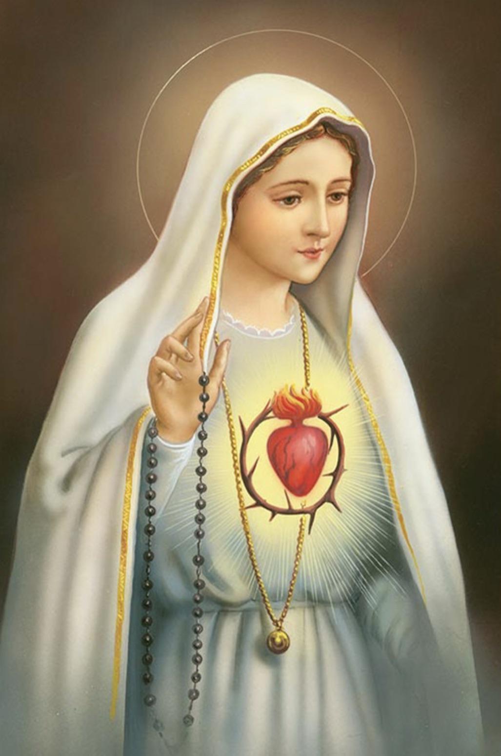 1027x1548 Happy Feast of the Immaculate Heart