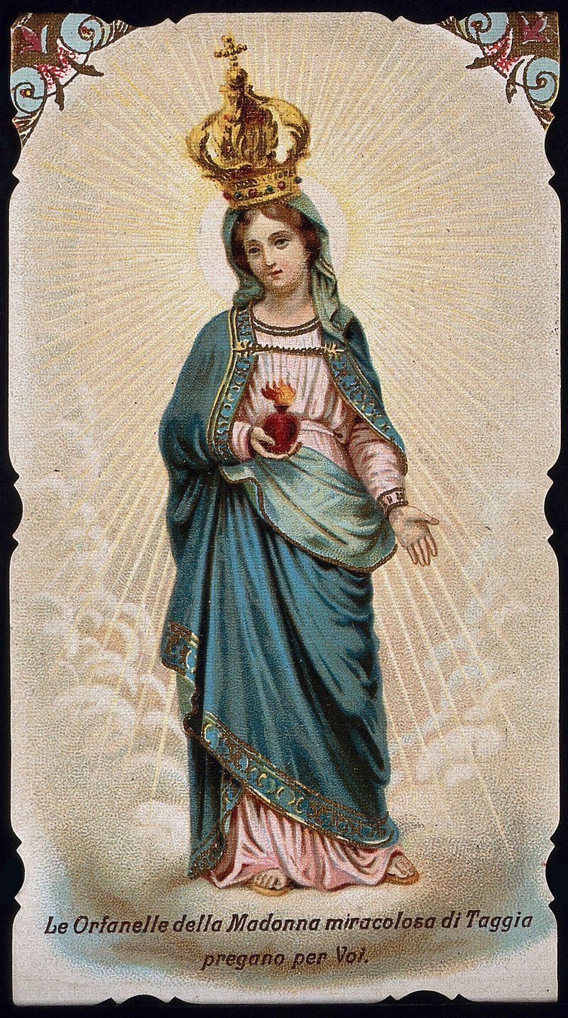 800x1433 Virgin Mary Image. Free Photo, PNG
