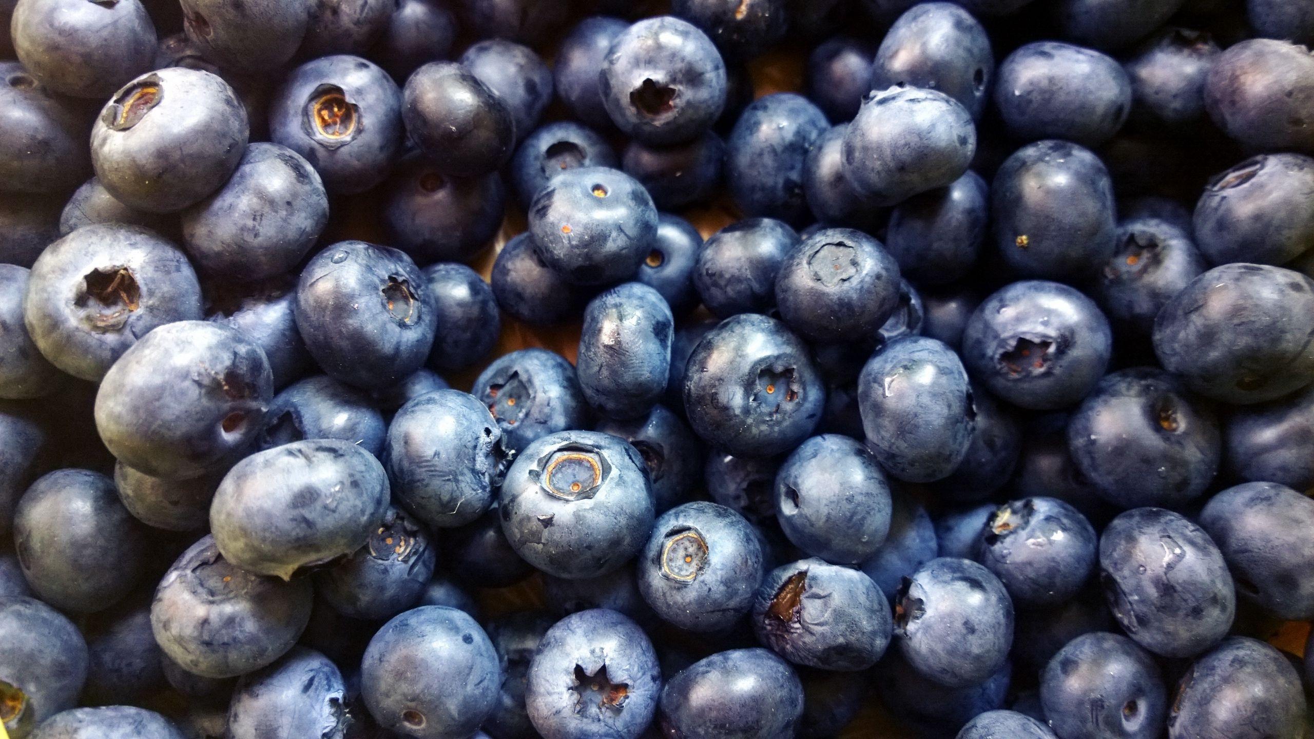 2560x1440 Download wallpaper 2560x1440 blueberry, berry, ripe, picking