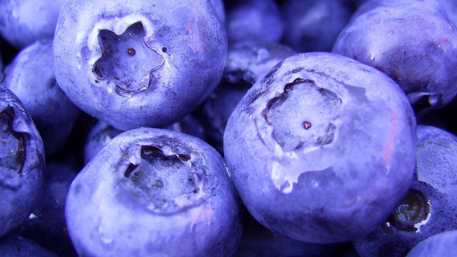 1920x1080 Download wallpaper 1920x1080 blueberry, berry, sweet HD