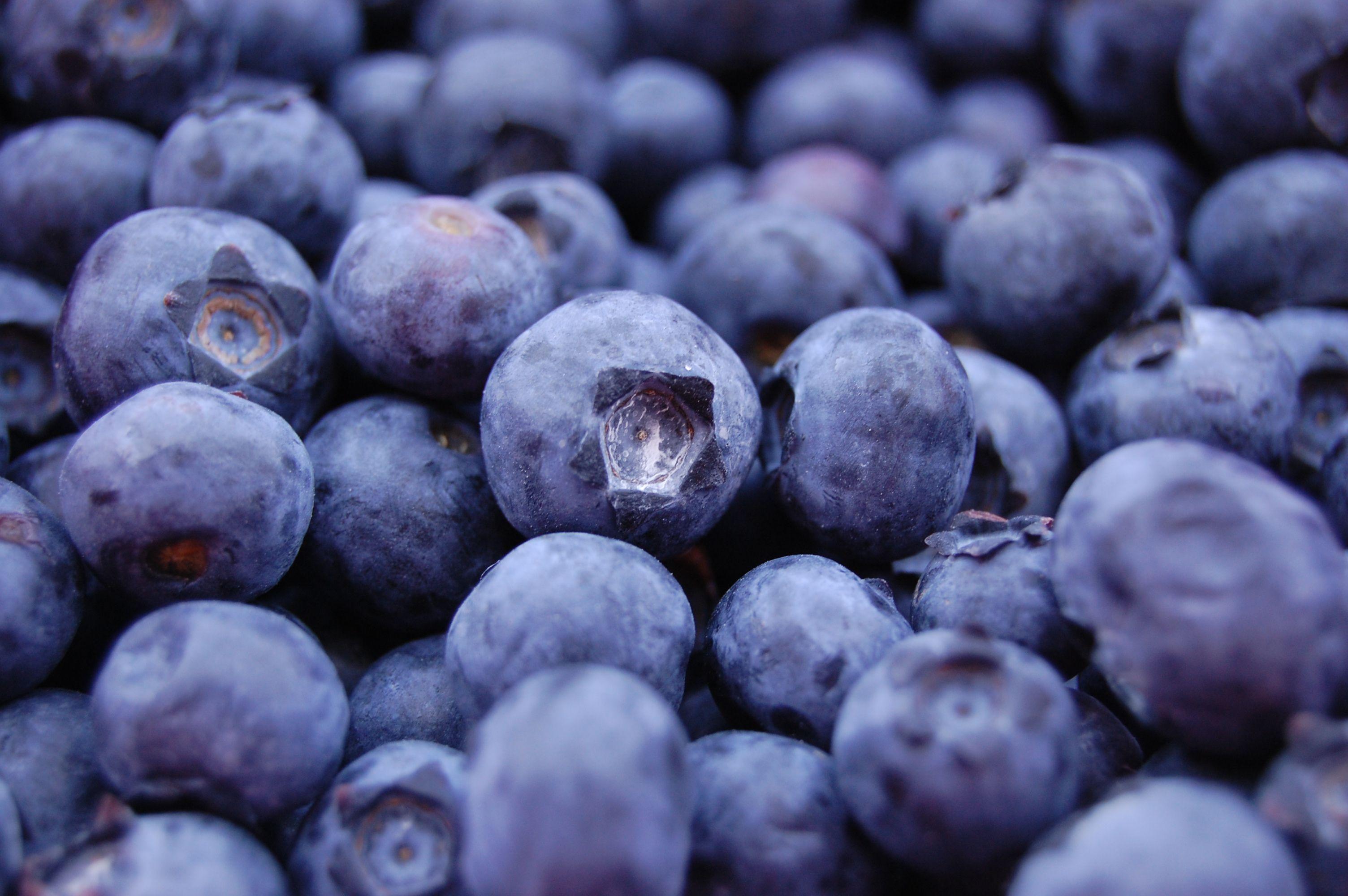 3008x2000 Blueberry Wallpaper 3008x2000 px, I99177