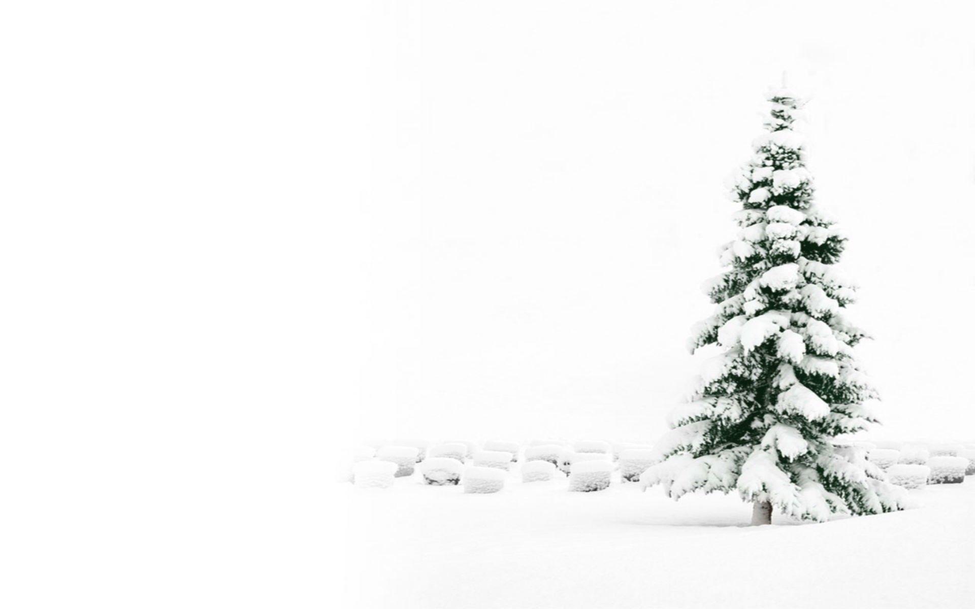 White Christmas Tree Wallpapers - Top ...