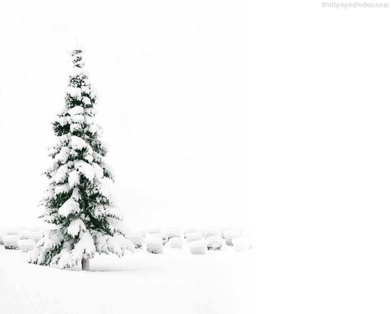 White Christmas Wallpapers - Top Free White Christmas Backgrounds ...