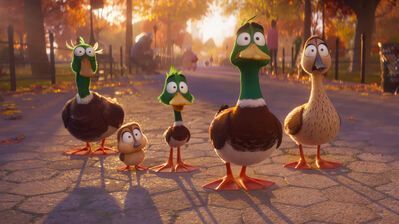 399x224 Migration HD 4K Wallpaper PC & Phone