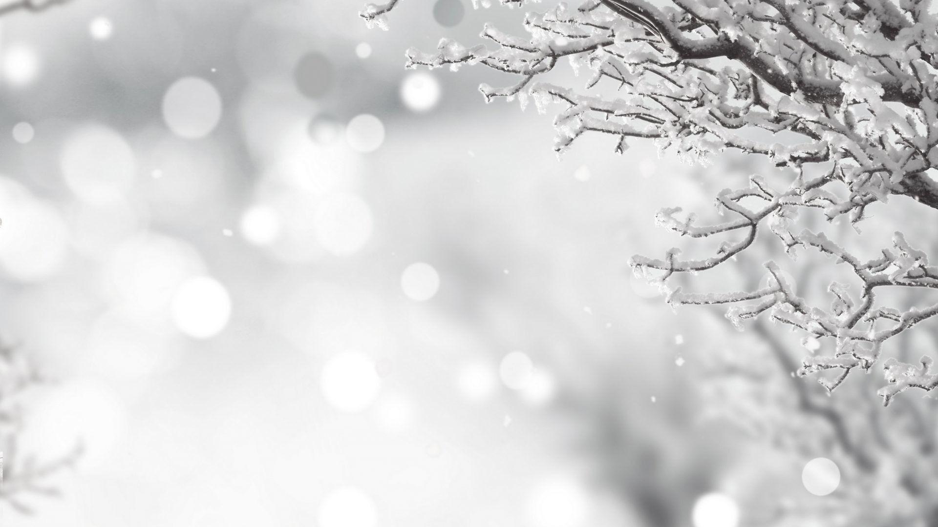 White Christmas Wallpapers - Top Free White Christmas Backgrounds ...