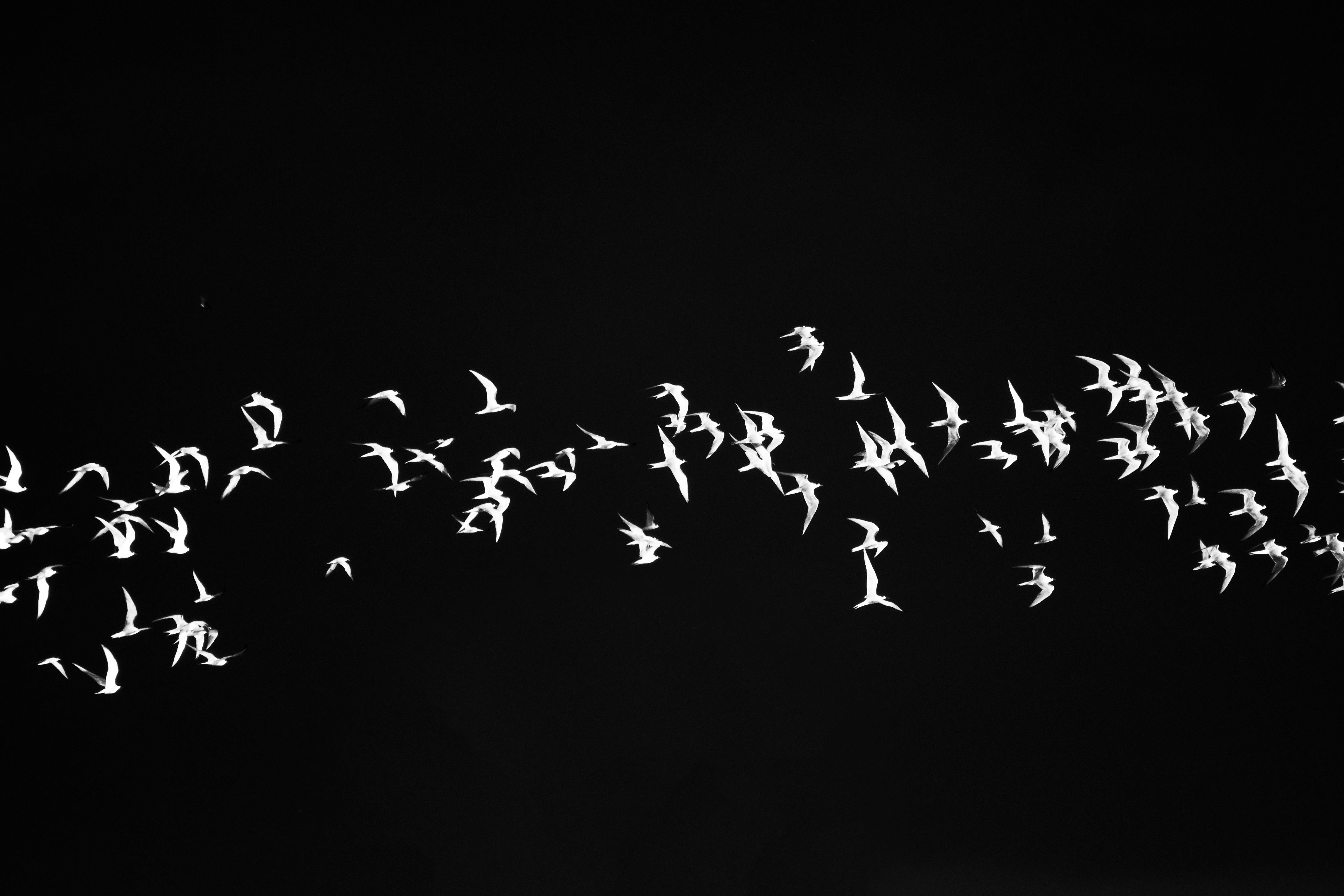 5568x3712 Black Background · Free