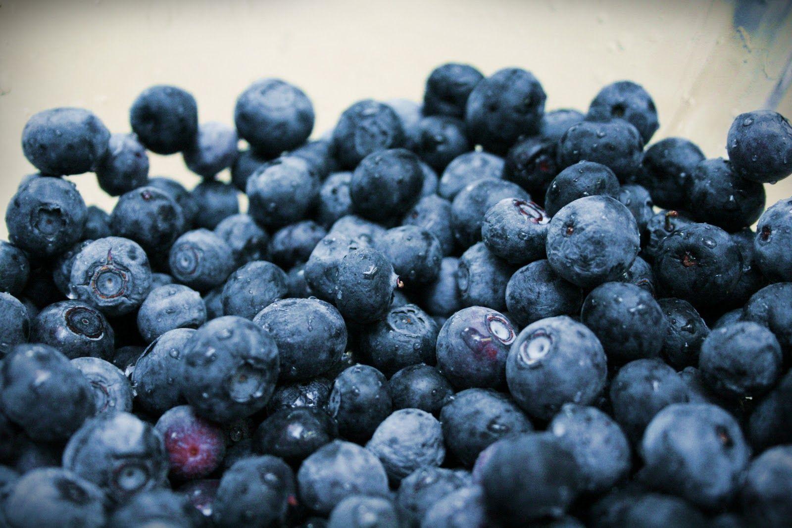 1600x1067 Blueberry Wallpaper 20400 1600x1067px