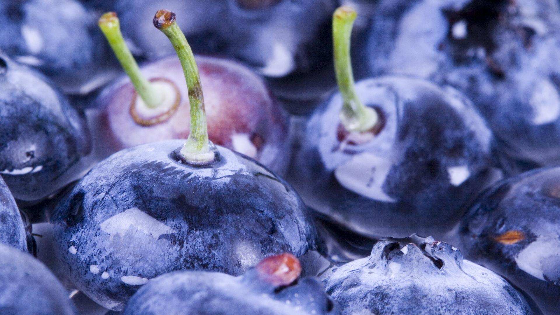 1920x1080 Blueberry Wallpaper for Android