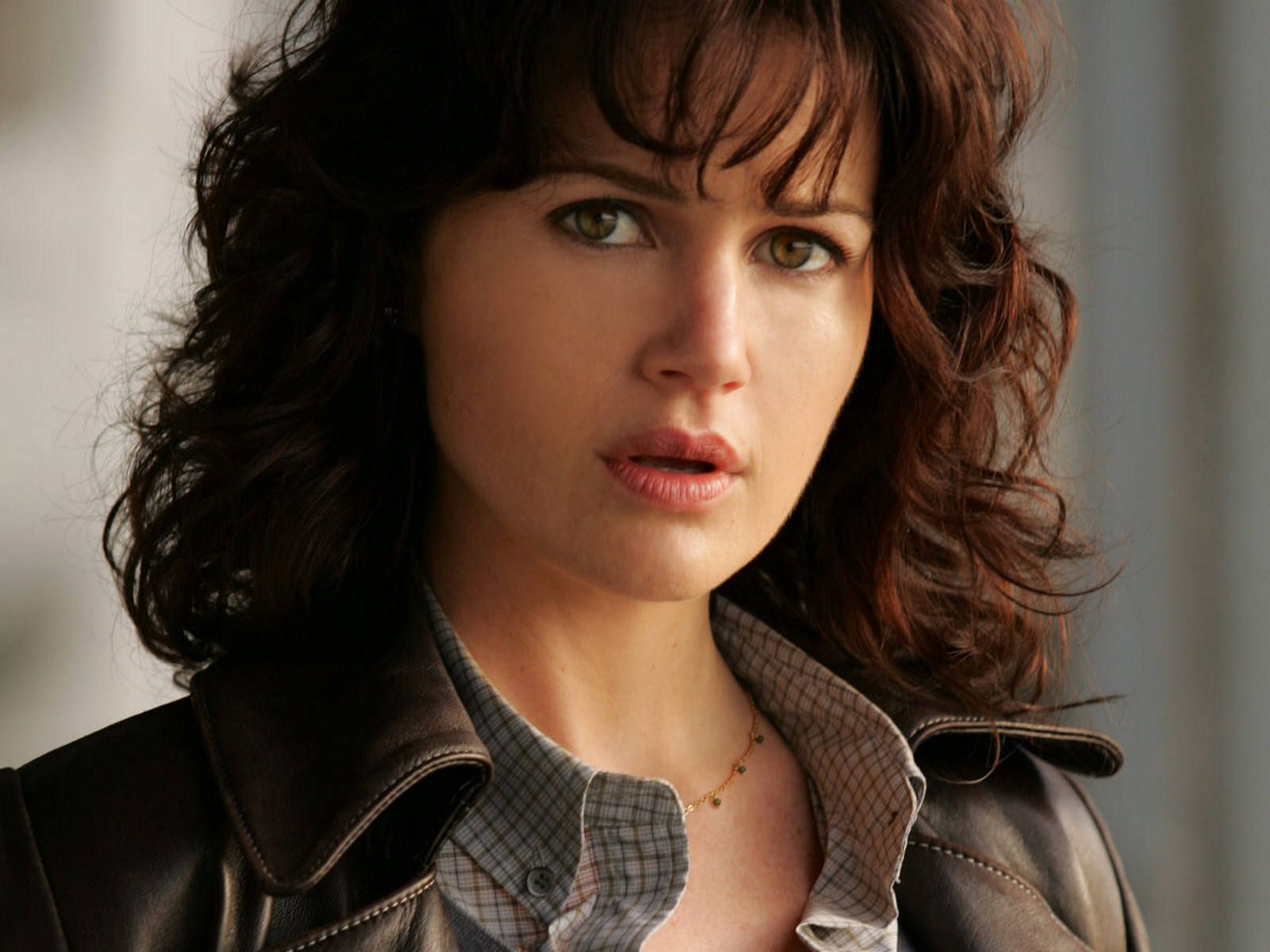 1600x1200 Download Celebrity Carla Gugino Wallpaper