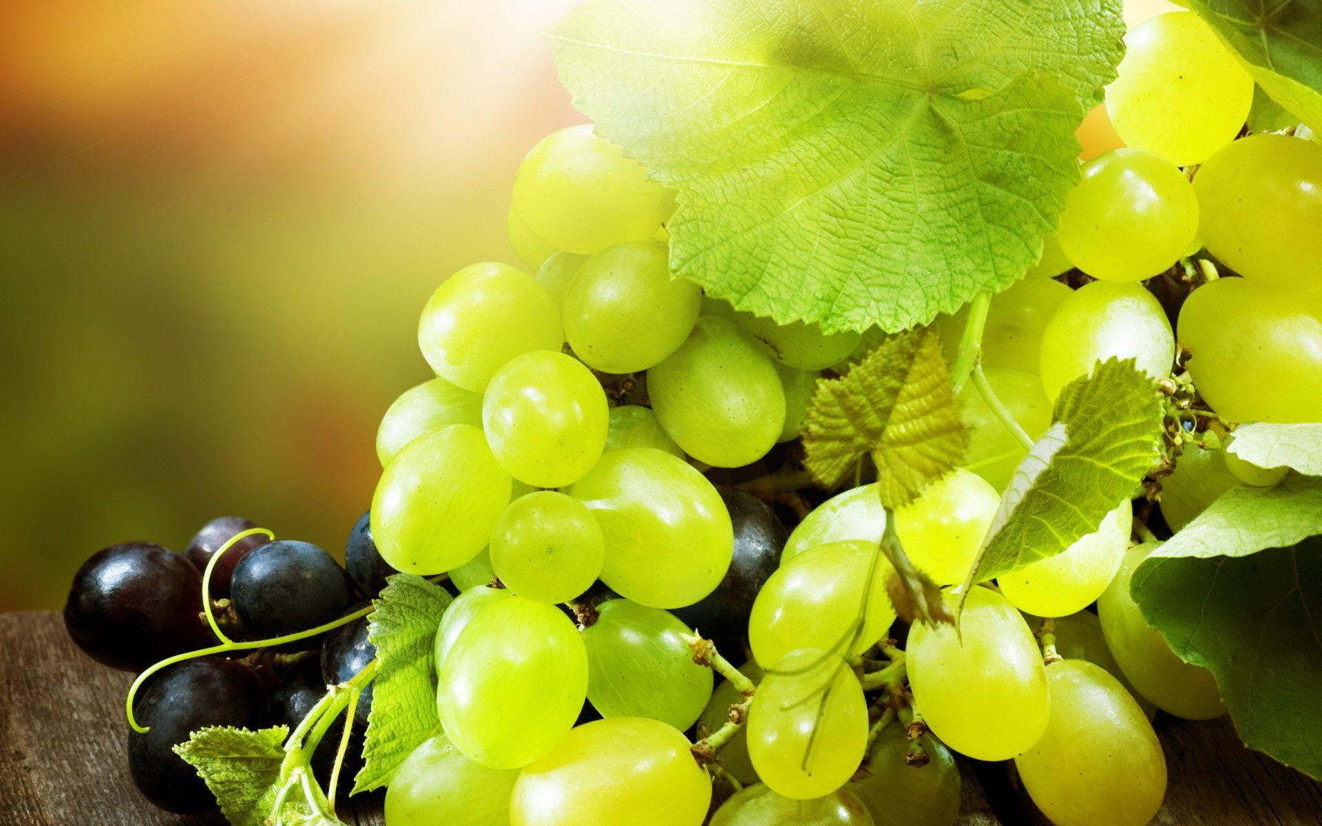 Grape Wallpapers - Top Free Grape Backgrounds - WallpaperAccess