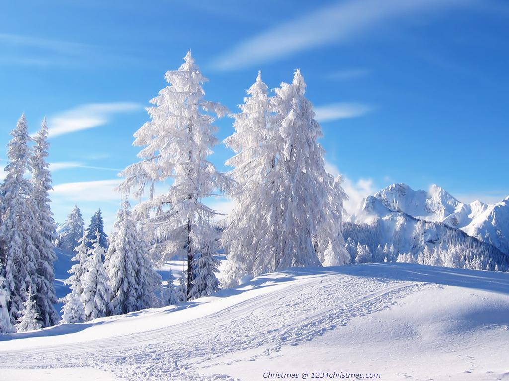 1024x768 Christmas Tree Wallpaper for FREE Download