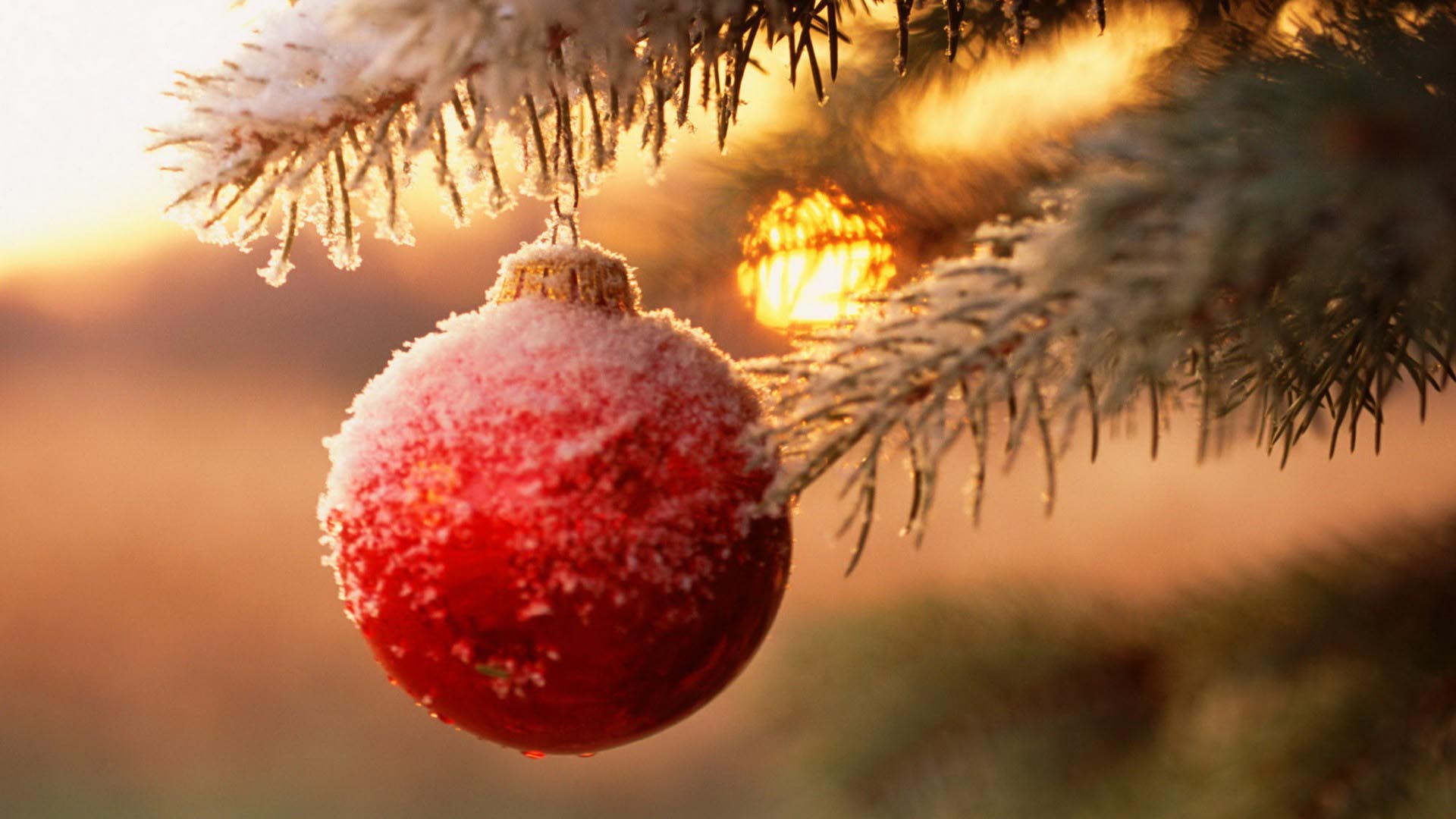 1920x1080 Snowy Christmas Ball in Tree HD Wallpaper FullHDWpp