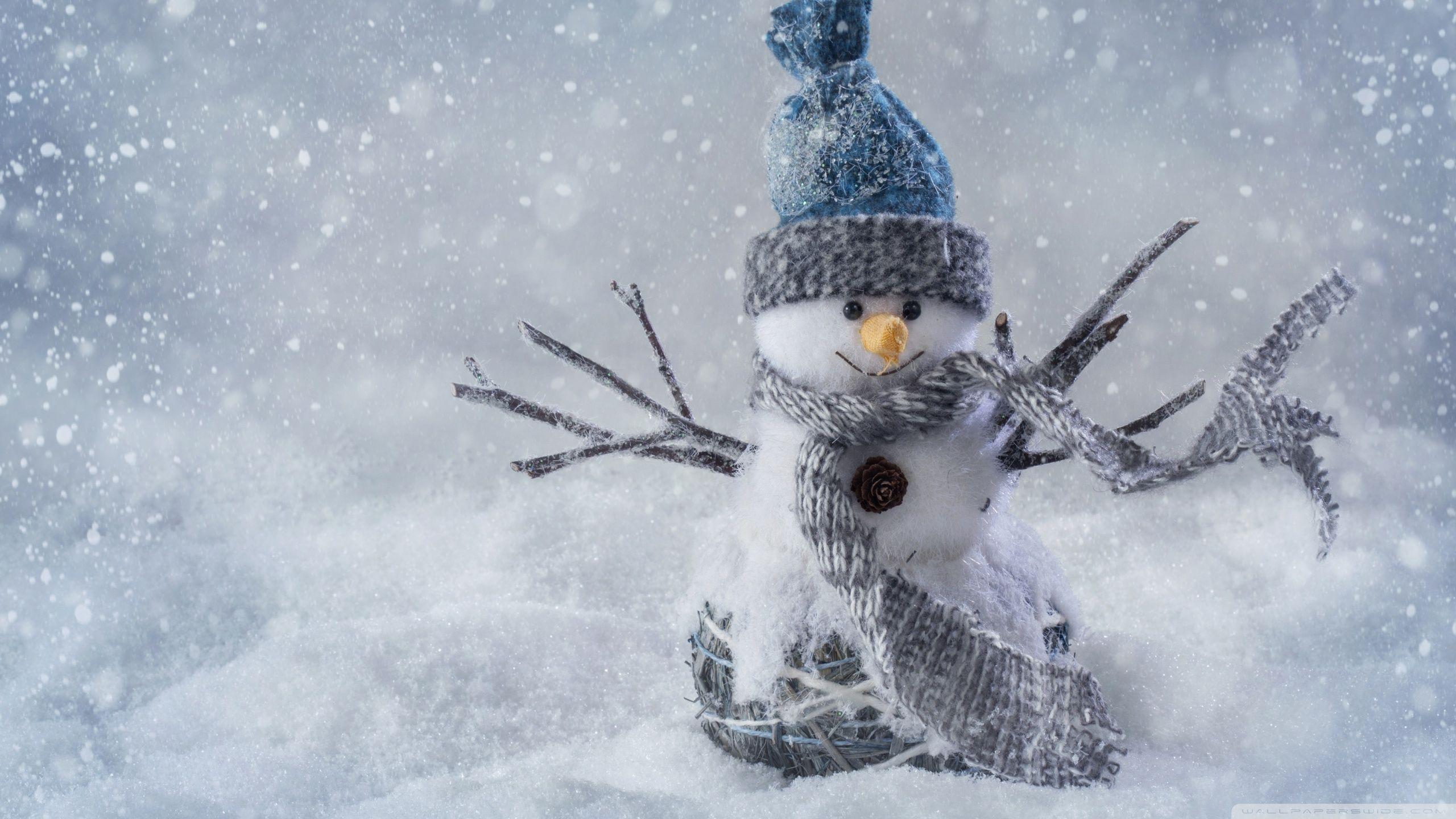 2560x1440 Christmas Snowman Craft ❤ Hình nền máy tính để bàn HD 4K cho 4K