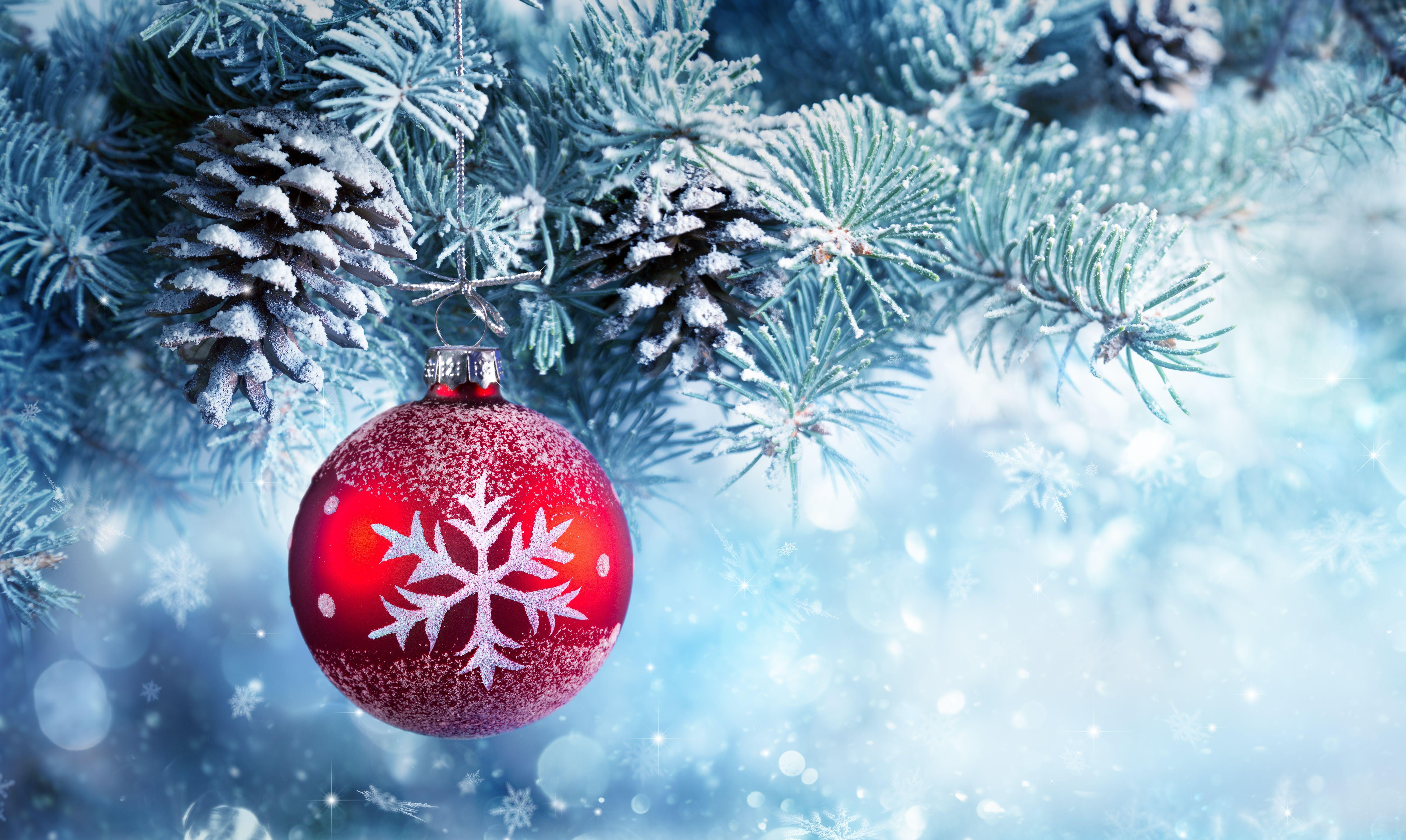 6630x3962 Snowy Christmas Ball in Tree HD wallpaper