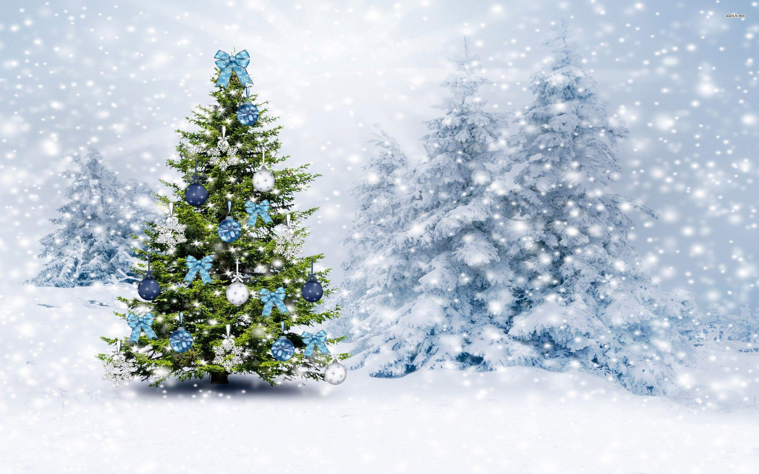 2560x1600 Christmas tree in the snowy forest wallpaper