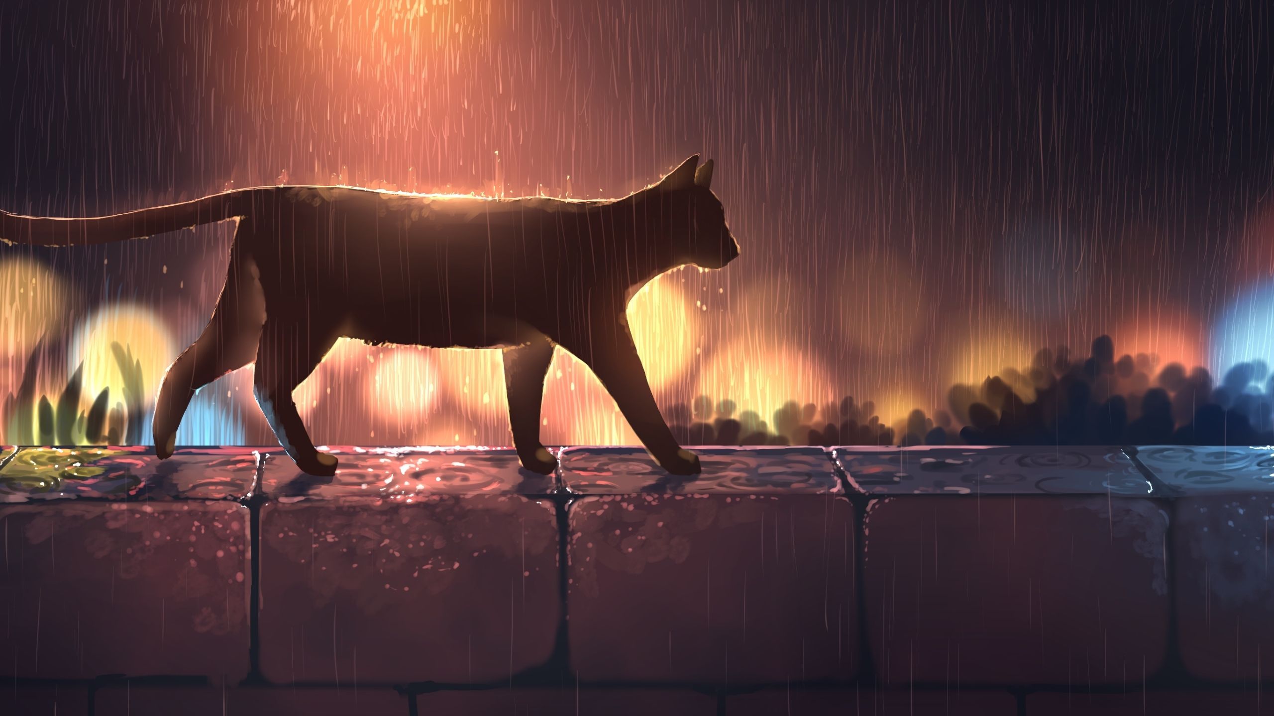2560x1440 The cat travelsy at