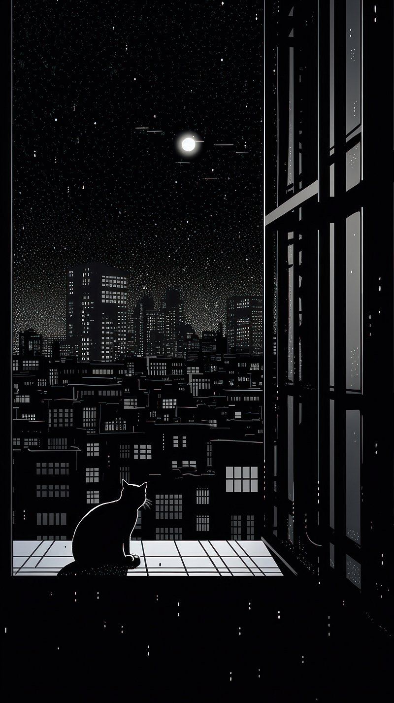 800x1427 iPhone Wallpaper Cat Image. Free