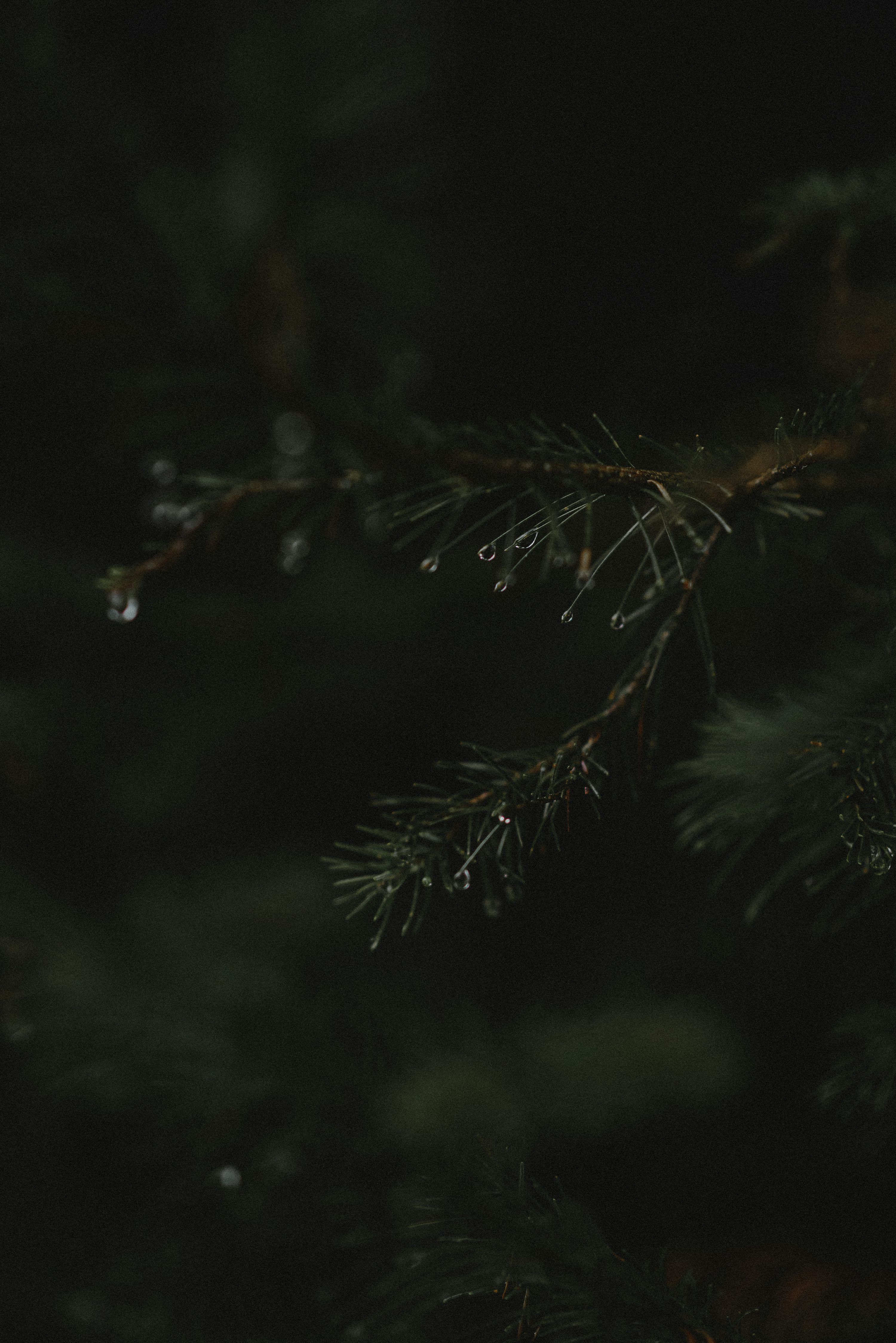 3000x4494 Dark Aesthetic Picture