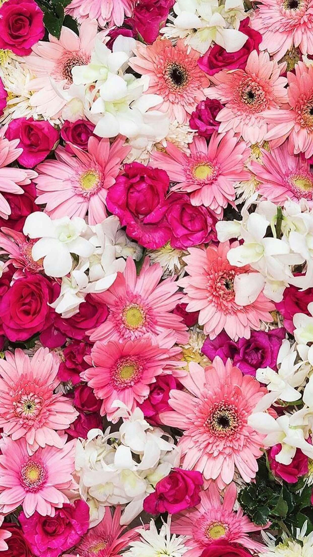 Bộ sưu tập 500+ iPhone Backgrounds Pink Flowers Đẹp và tươi sáng
