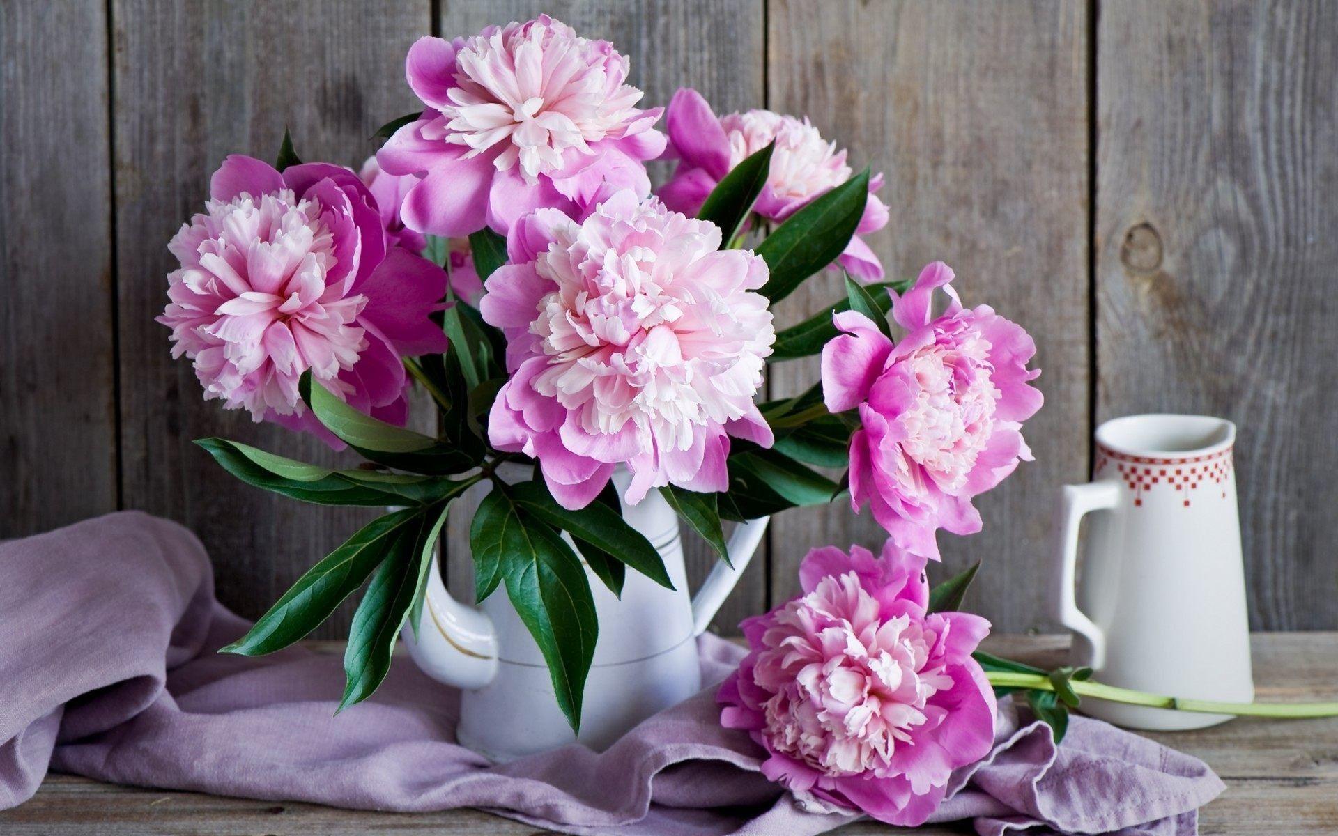 1920x1200 Pink Flowers Wallpaper background picture