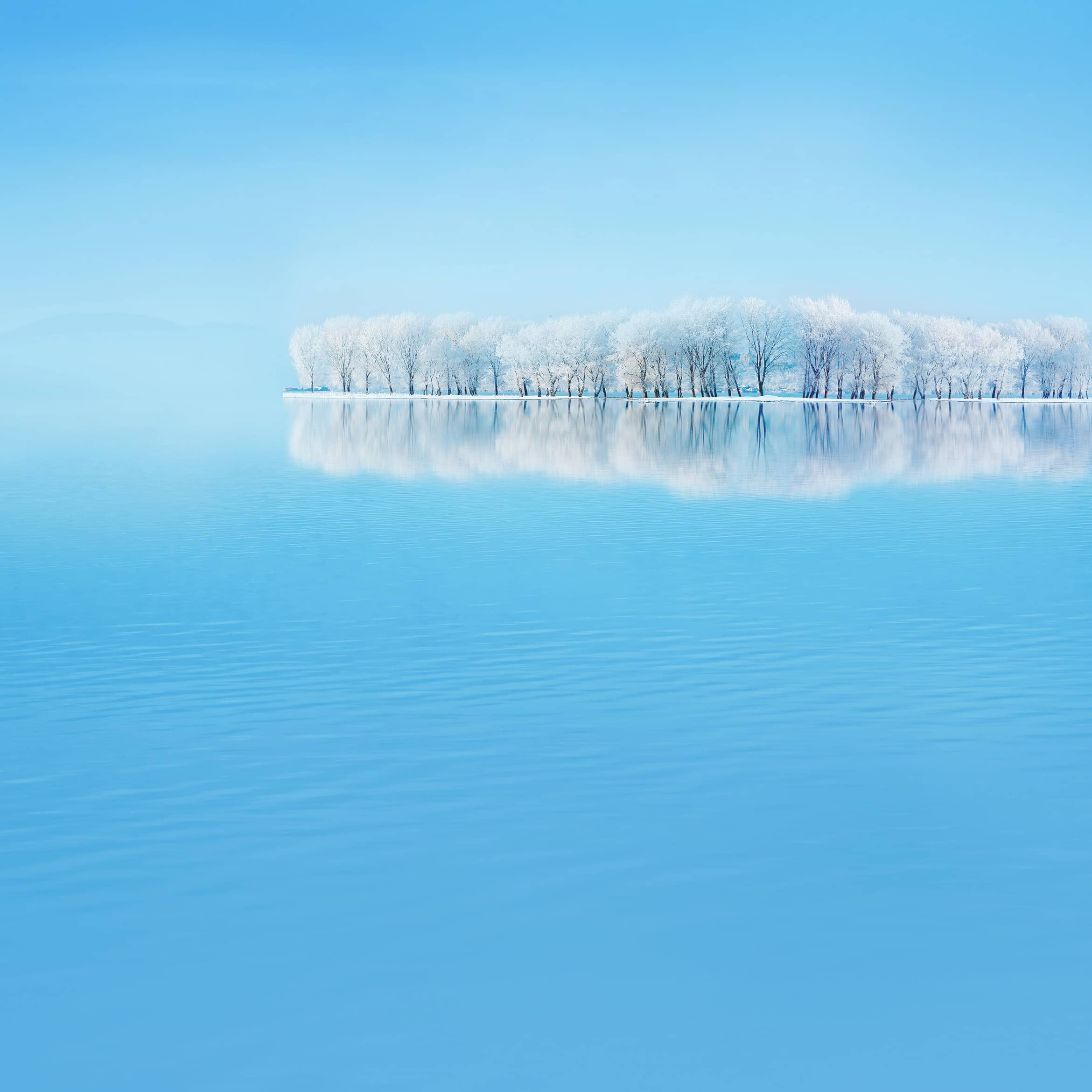 2340x2340 Download Huawei P30 and Huawei P30 Pro Wallpaper