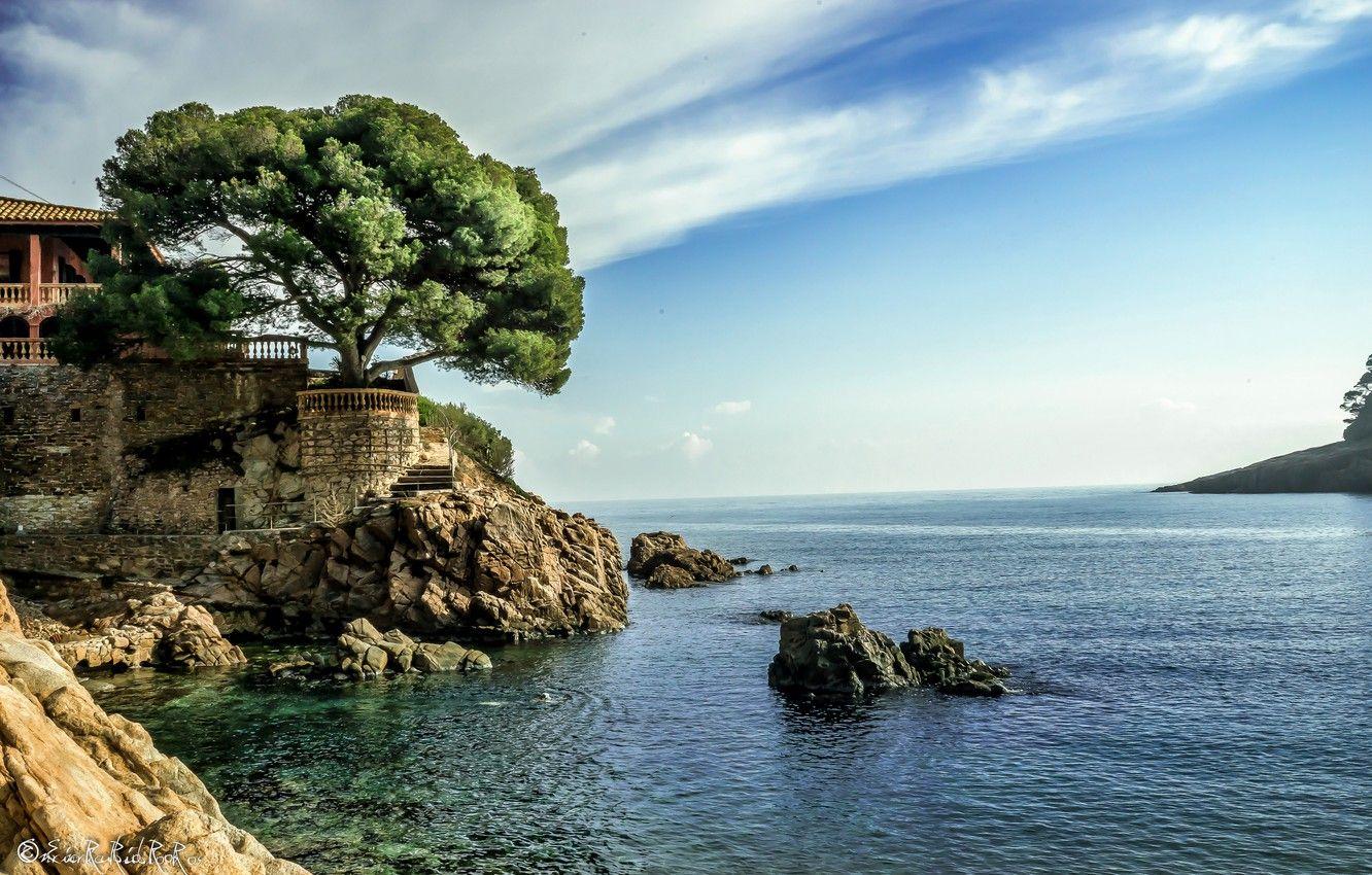 1332x850 Wallpaper sea, the sky, house, stones, tree, shore, horizon