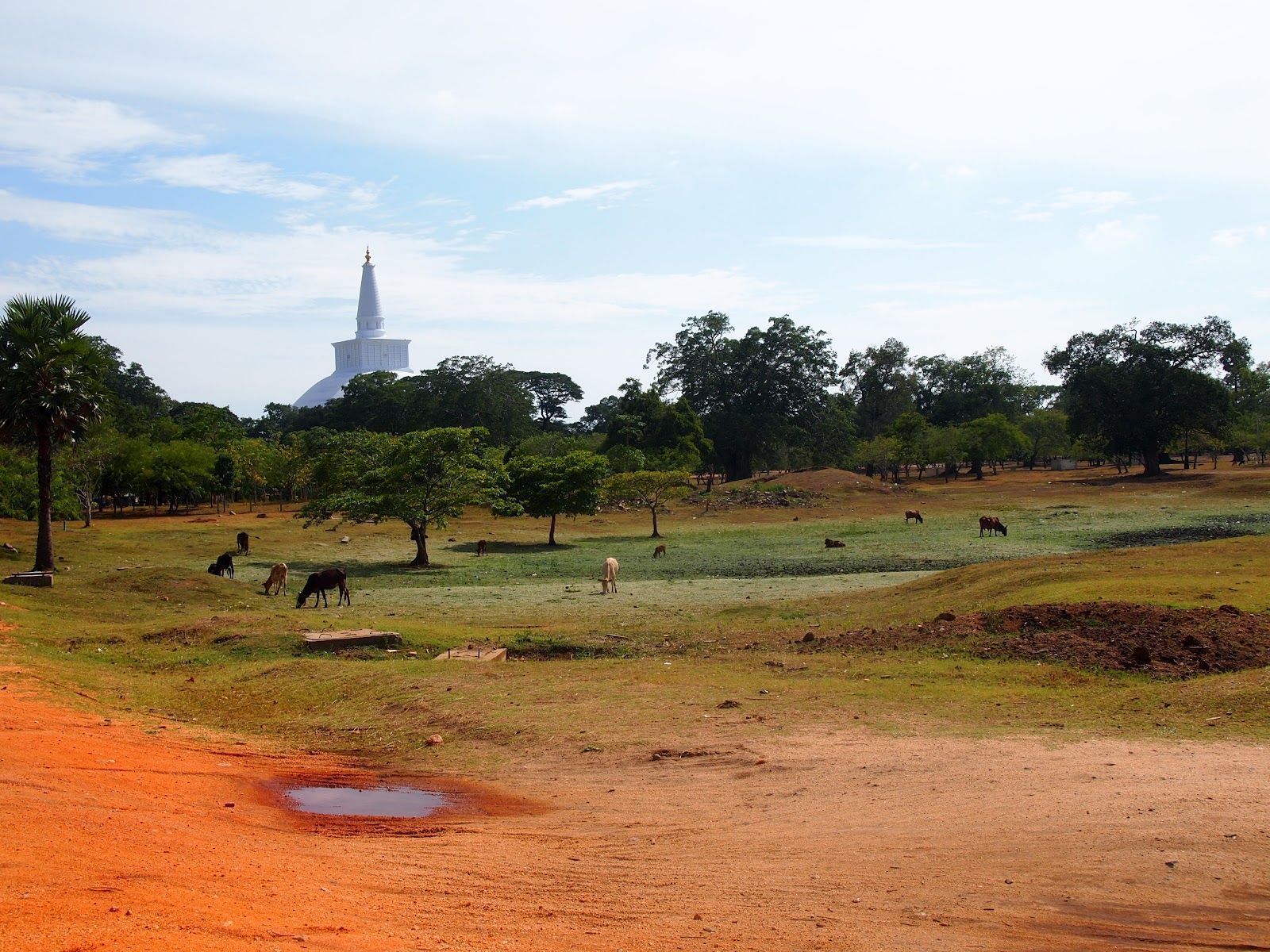 1600x1200 Anuradhapura Durian Desert