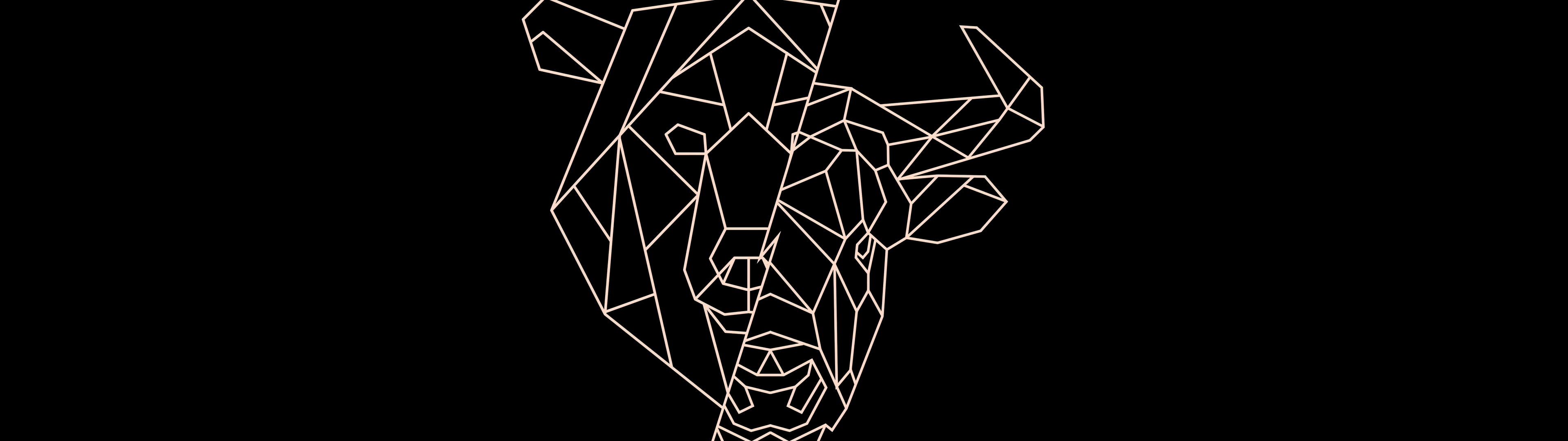 Bull Trading Wallpapers - Top Free Bull Trading Backgrounds