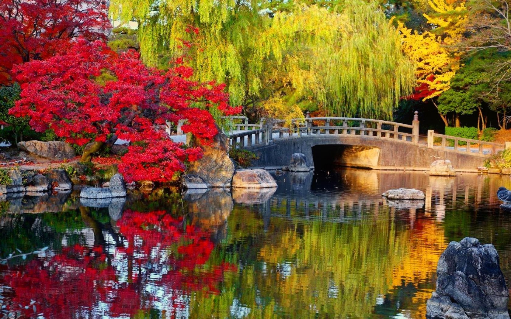 1680x1050 Japanese Garden Wallpaper