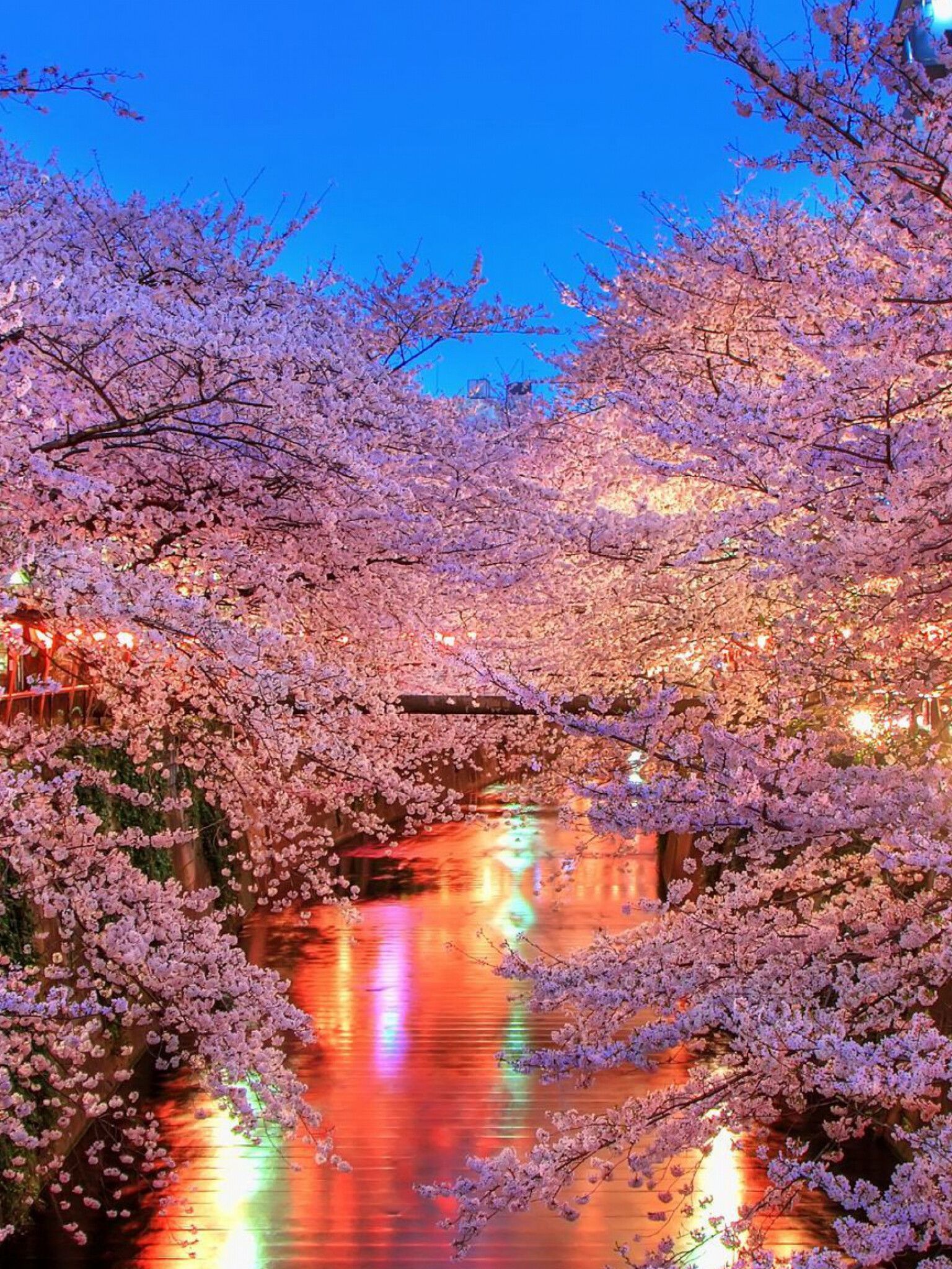 1536x2048 Japan Wallpaper