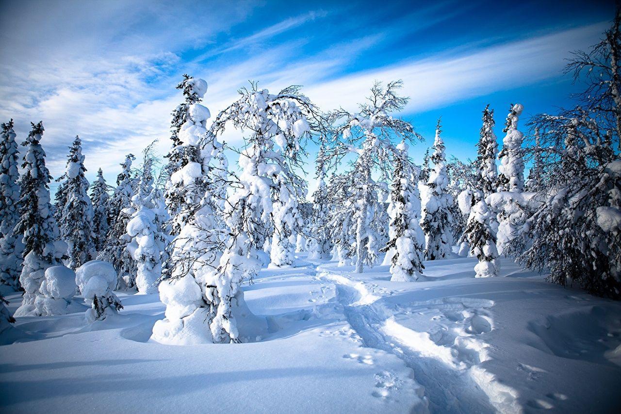 Lapland Wallpapers - Top Free Lapland Backgrounds - WallpaperAccess