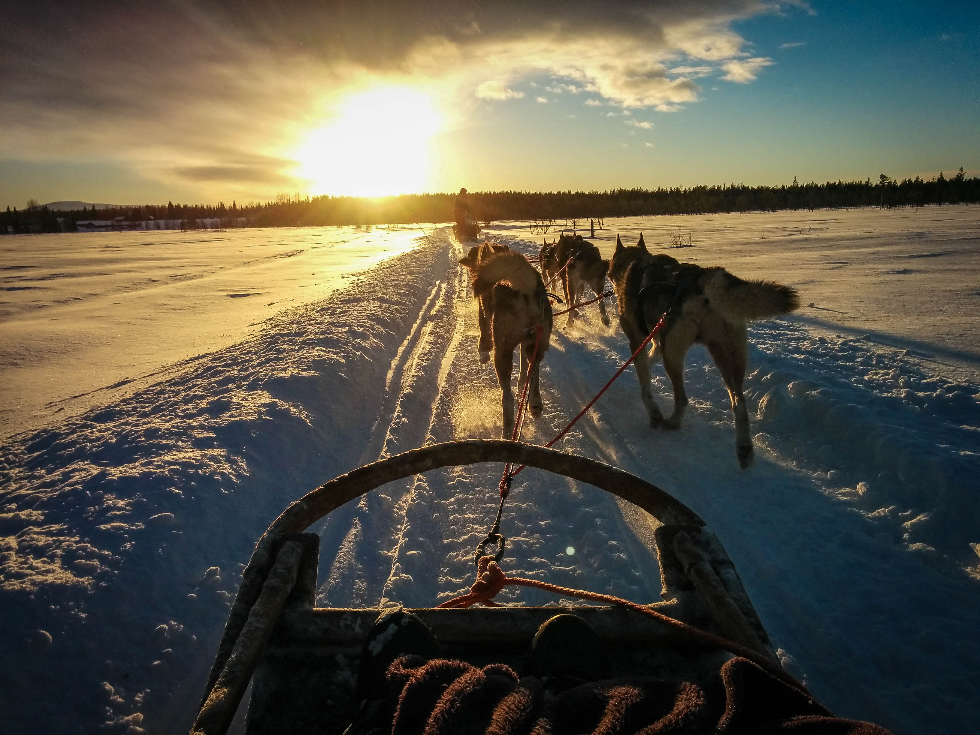 3264x2448 Husky ride through Lapland
