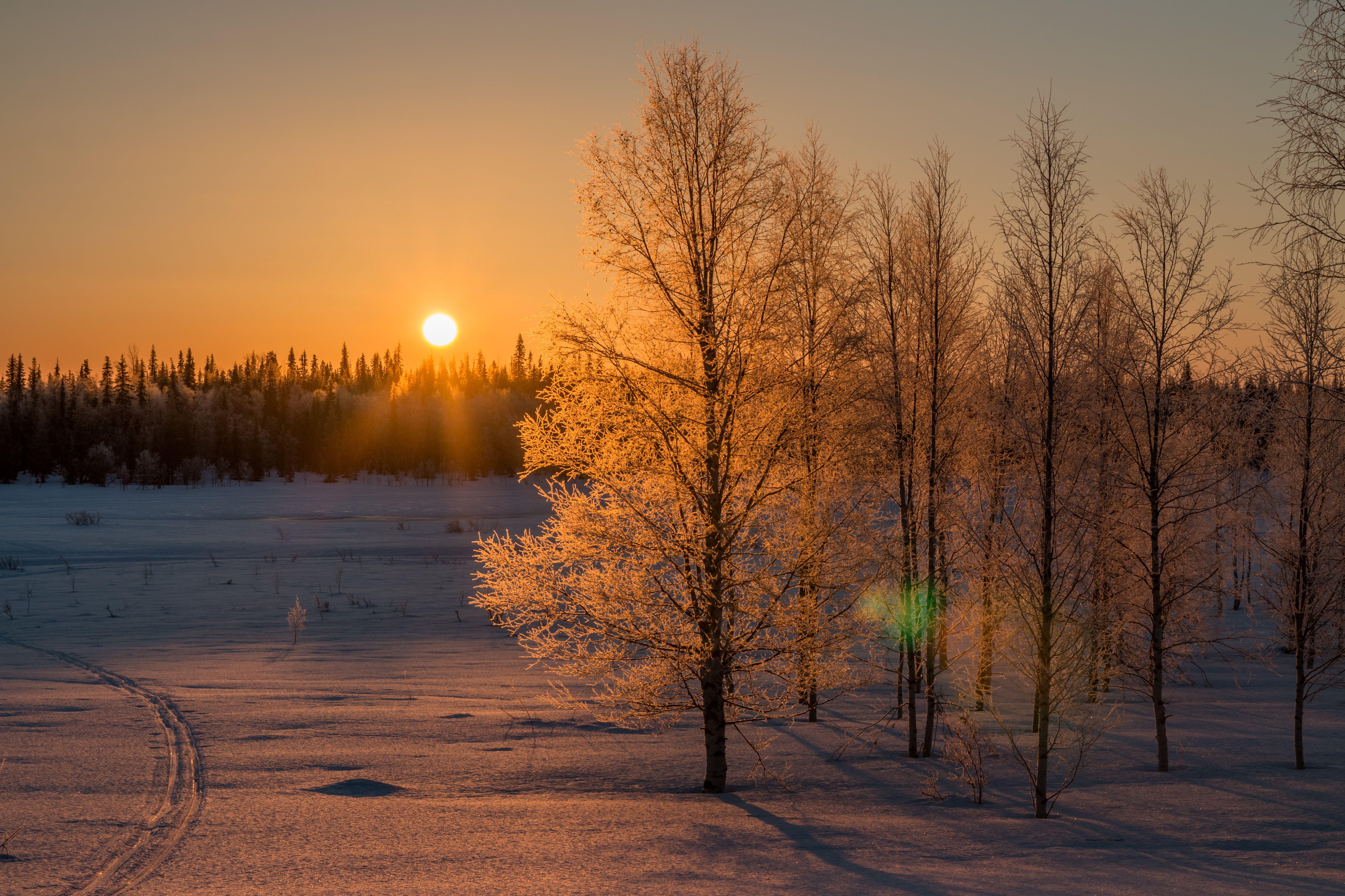 Солнце заходит зимой. Зимний рассвет. Рассвет зимой. Зимний закат. Закат в зимнем лесу.