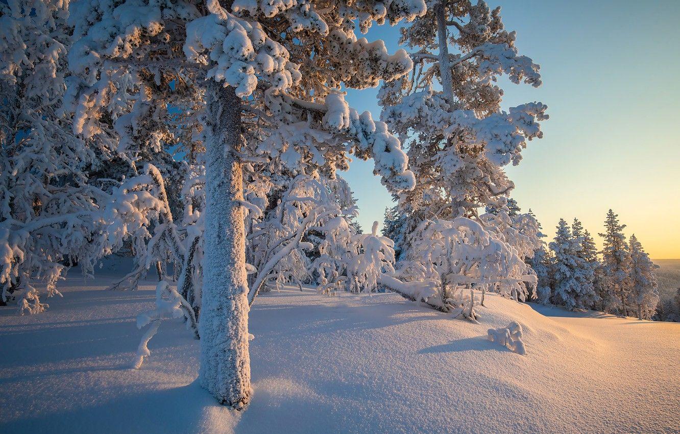 Lapland Wallpapers - Top Free Lapland Backgrounds - WallpaperAccess