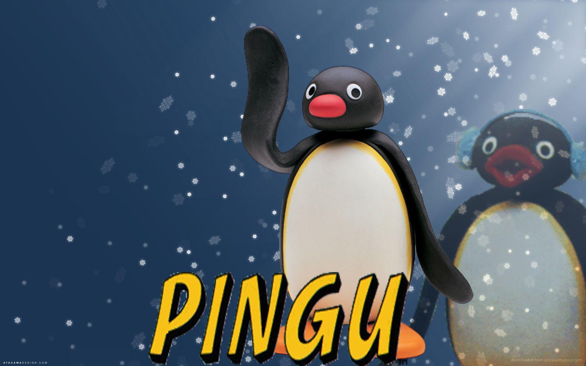 Pingu Wallpapers Top Free Pingu Backgrounds Wallpaperaccess