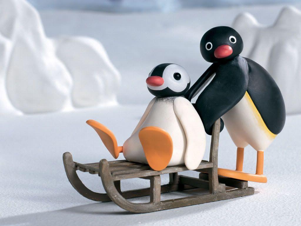 Pingu Wallpapers Top Free Pingu Backgrounds Wallpaperaccess