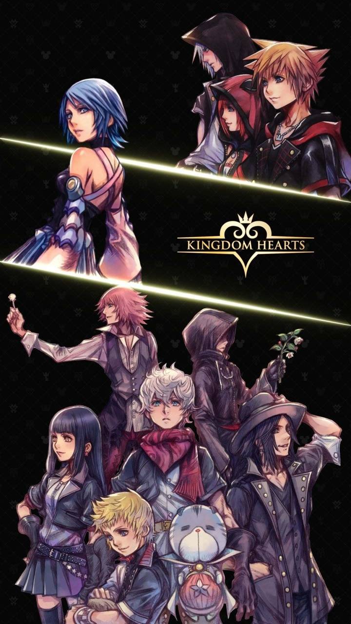 720x1280 Kingdom Hearts 3 wallpaper